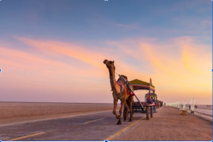 2 Days Kutch Tour Package

